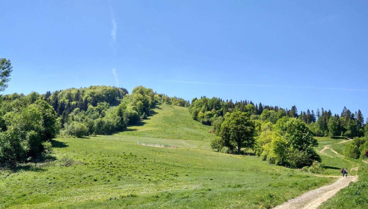 Cottage Kurshevel Slavske Exteriér fotografie